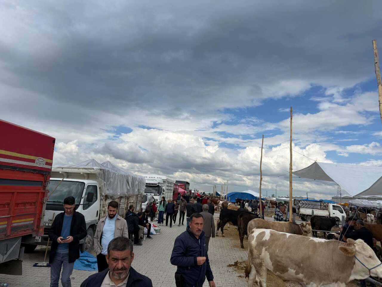 Konya’da arefe yoğunluğu! Kurban pazarlarında sıkı pazarlık yapılıyor 1